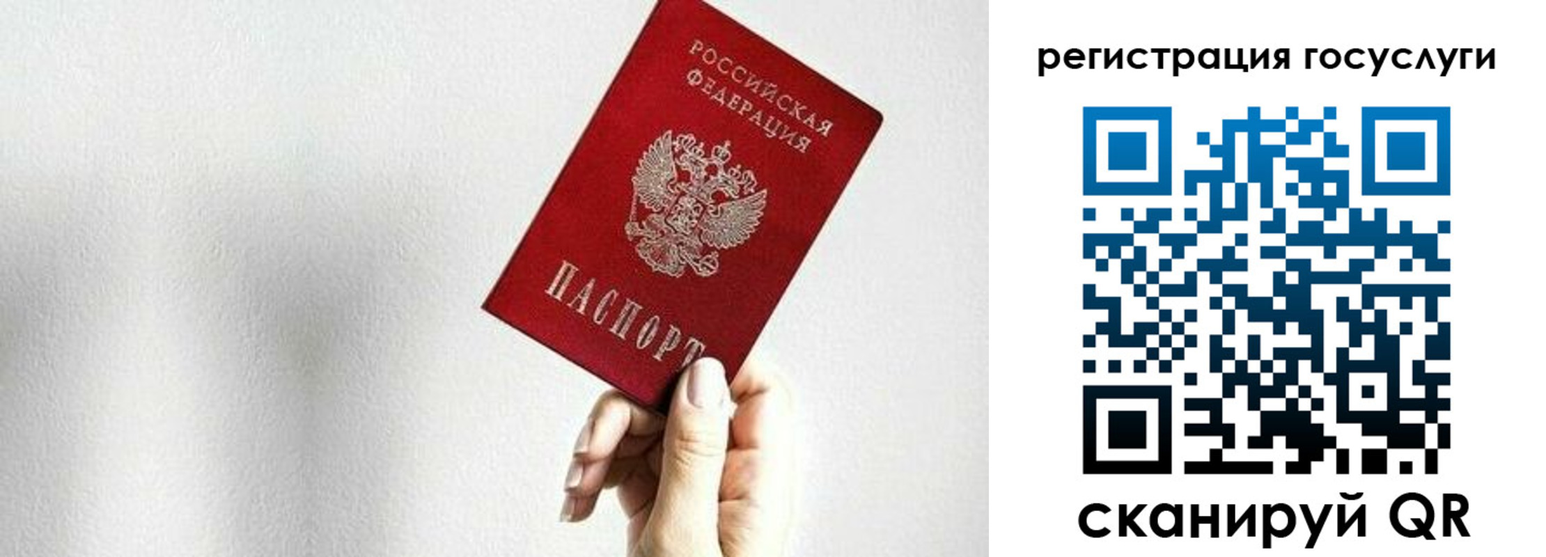 прописка гарантия в Камызяке